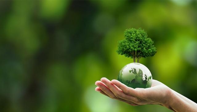 Sustainable Materials and Eco-Conscious Choices for Workspaces