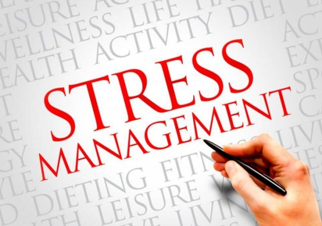 The Ultimate Guide to Stress-Free Travel: 7 Must-Have Items
