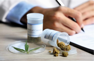 Cannabis: A remedy for obesity? Cannabis: A remedy for obesity?
